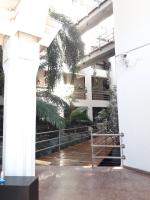 Excelente Oficina Comercial C/ Cochera - Imagen# 5